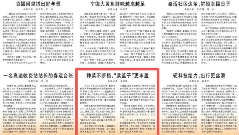 人民日报看重庆｜种菜不断档，“菜篮子”更丰盈