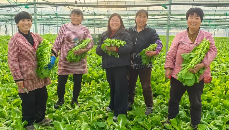 开局“十五五”·写给我的家与国 | 一根网线牵起乡村创业梦