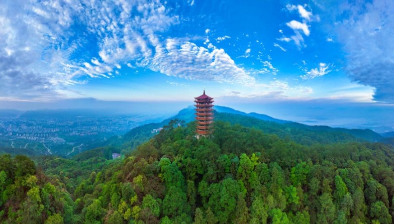 党建引领聚“新”力 缙云山麓绘“绿”图