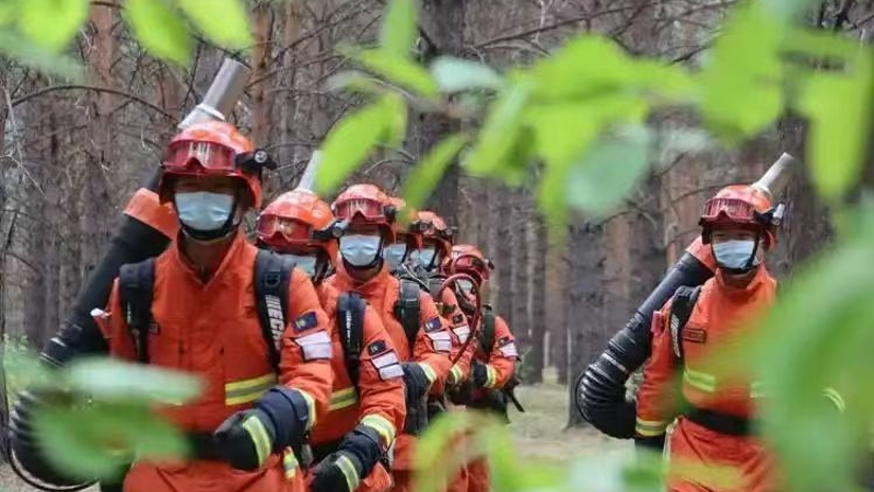 新春走基层｜守护这片青山，也就守住了万家灯火