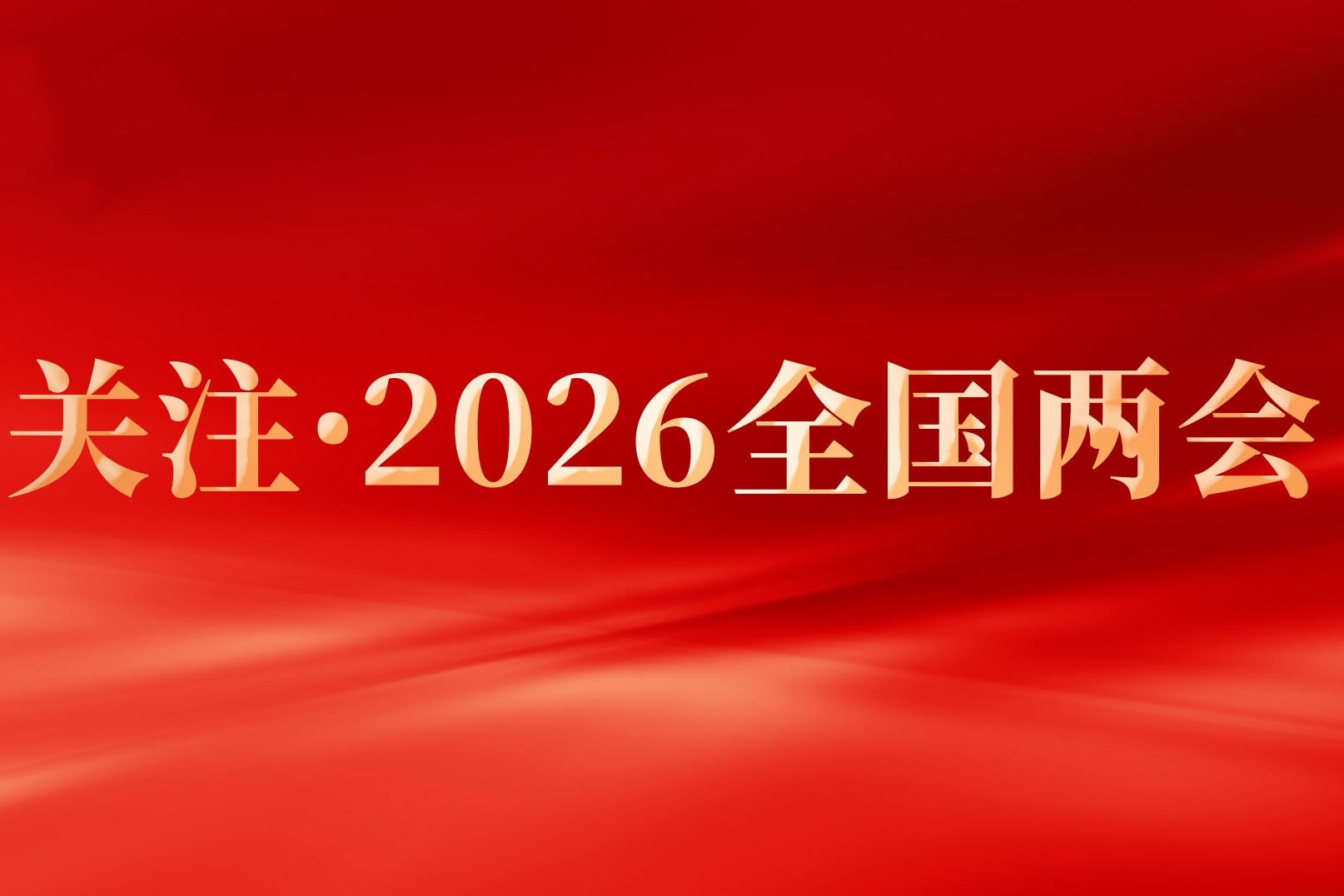 依法履职服务大局 务实担当助力发展——在渝十四届全国人大代表2025年履职综述