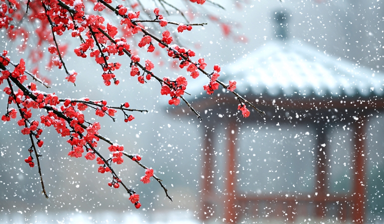 邹士平专栏｜红炉新雪
