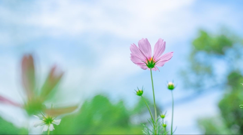 李亮专栏丨重复父亲的故事