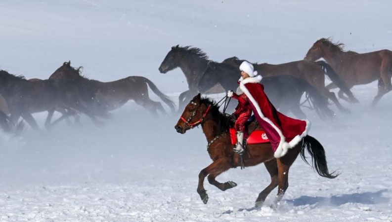 陈刚专栏｜那一袭红衫，永远映在天山——致贺娇龙