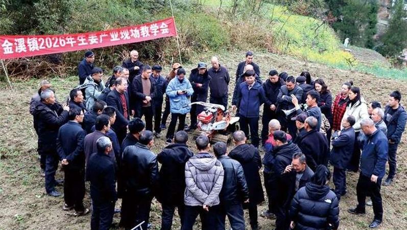 重庆黔江金溪镇：专家田间“教学” 金溪“姜”会更好