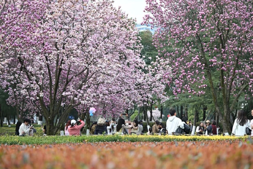 “小公园”为何需要“大治理”