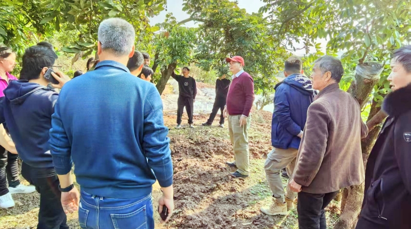 重庆江津吴滩镇：聂帅故里党旗红 冬训砺剑践初心