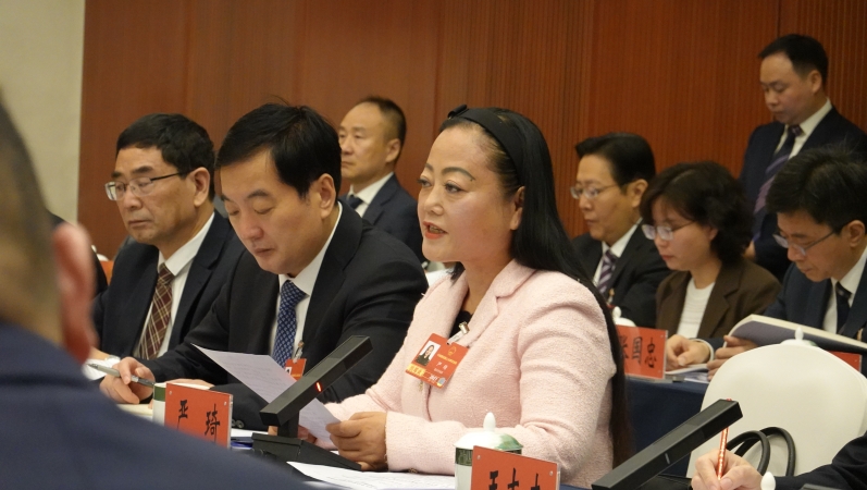 在全国两会现场｜全国人大代表严琦：一碗渝味香飘京城 新消费场景激活发展新动能