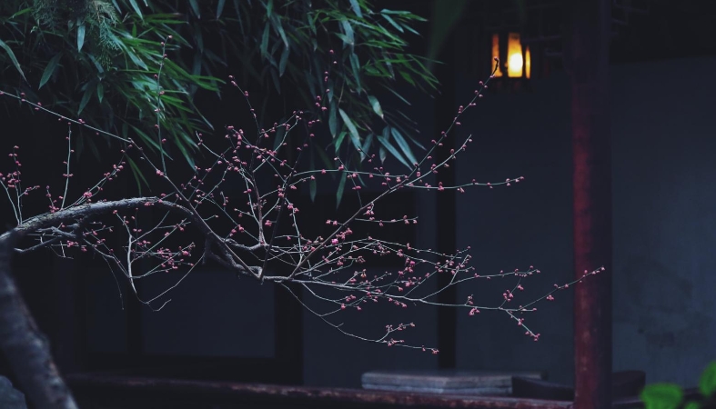 王靖平专栏｜历代廉洁奉公典范人物咏怀⑲（西汉）