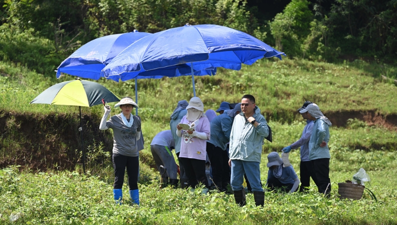 开局“十五五”·写给我的家与国｜⑬为一江碧水行走