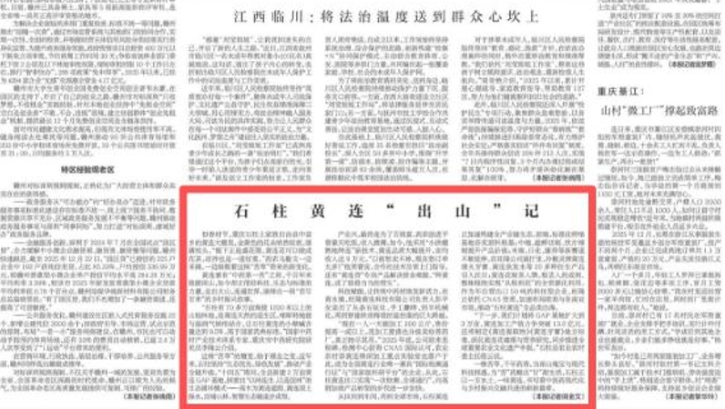 新华每日电讯看重庆｜石柱黄连“出山”记