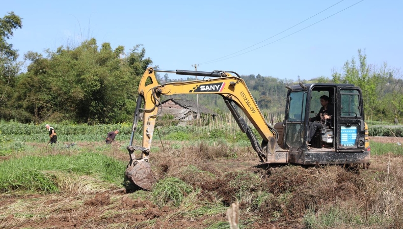 重庆合川双槐镇：按下春耕生产“加速键”孕育丰收希望