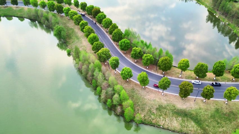 文学丨谷雨如丝