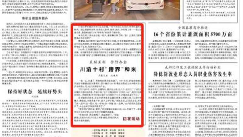 人民日报看重庆｜川渝十村“跨界”种米