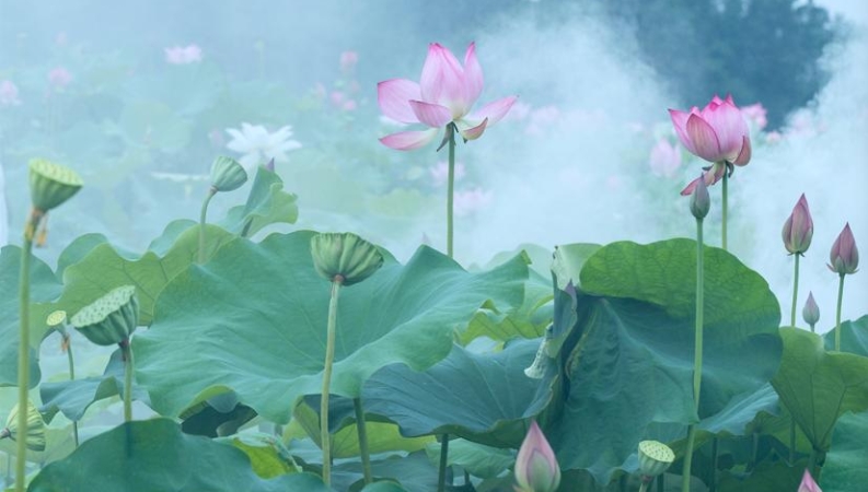 王靖平专栏｜历代廉洁奉公典范人物咏怀（西汉）⑳