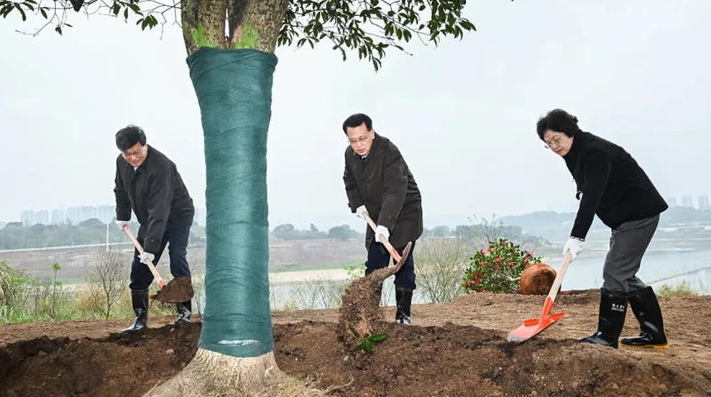 袁家军王炯程丽华参加义务植树活动