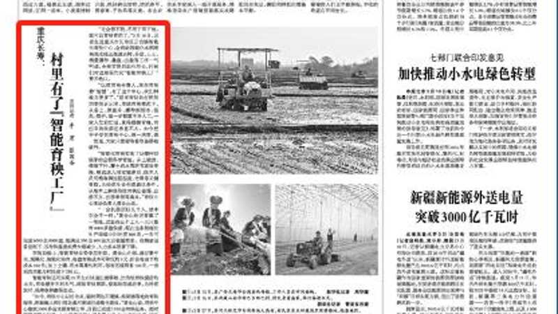 光明日报看重庆｜长寿：村里有了“智能育秧工厂”