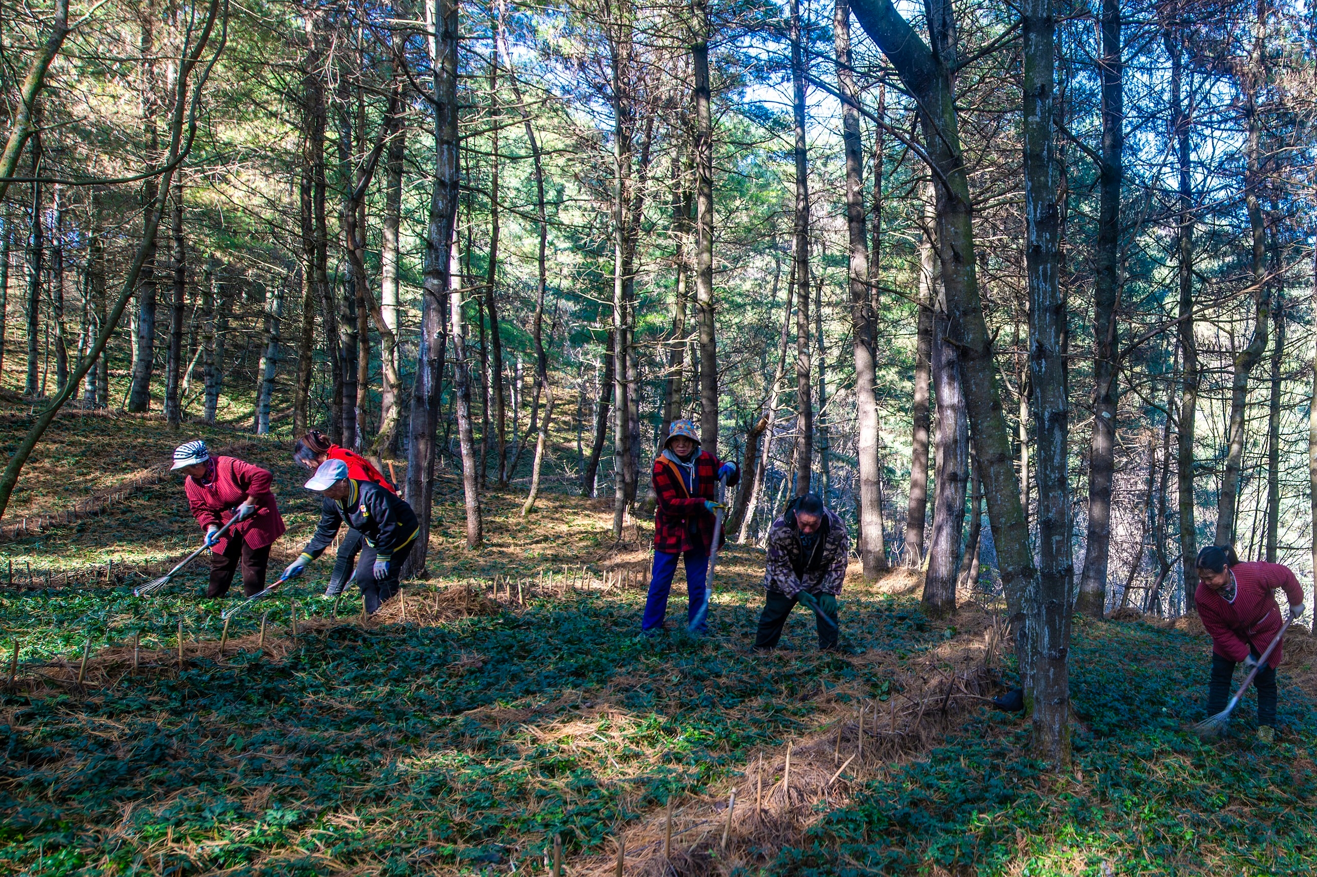 当代党员杂志社作品获评2026年“新春走基层”活动好作品