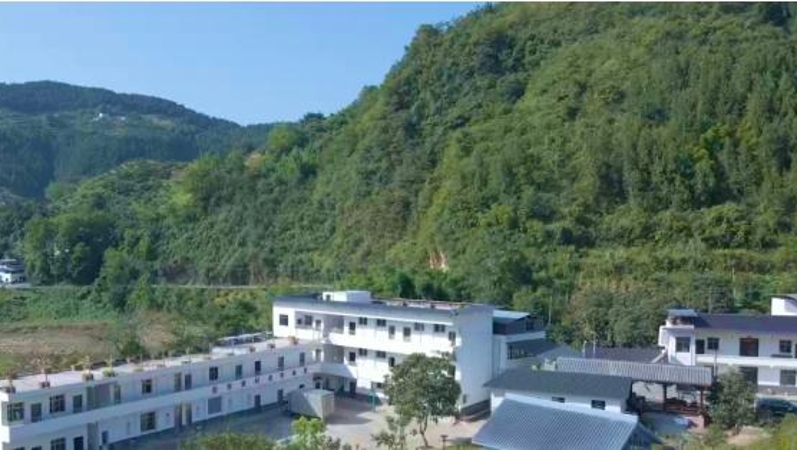 重庆市云阳县龙角镇：数字赋能精治理 智治惠民暖人心