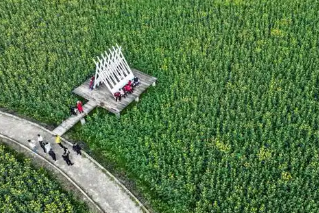 二十三个县（市、区）入选第一批美丽乡村先行区，重庆璧山区上榜
