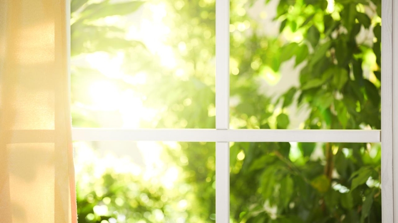 黄裕涛专栏｜早安，你好！