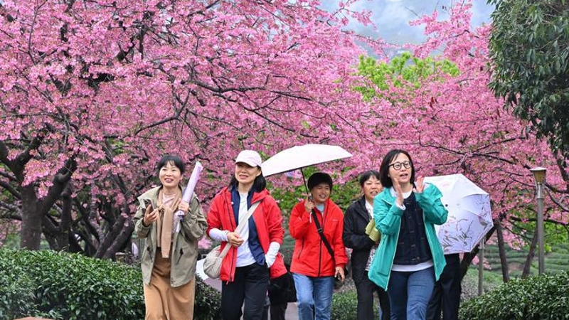 今天，你“Color Walk”了吗？