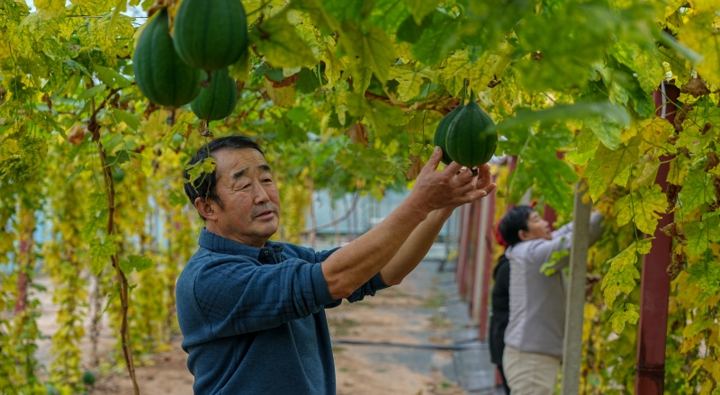 如何实施常态化精准帮扶？