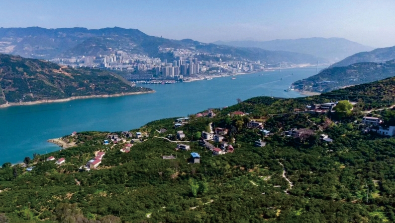 春江何曾负·重庆长江生态回馈启示录⑯｜以科学造林重塑峡江山水格局