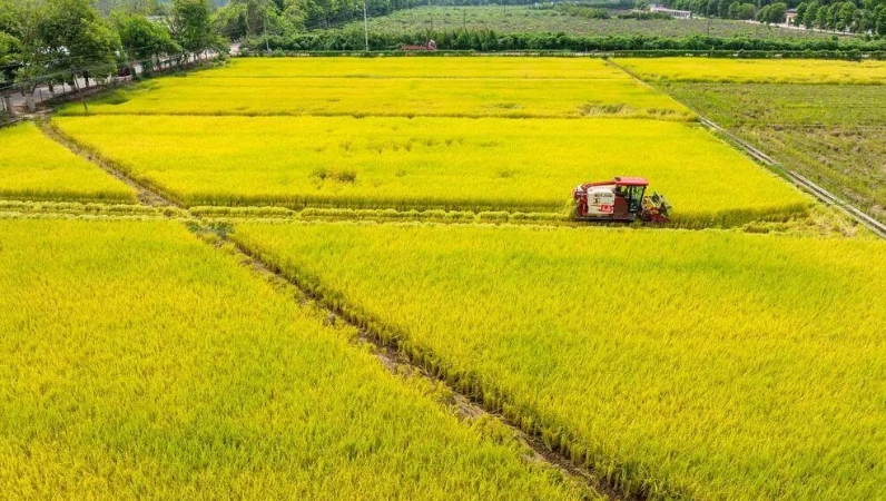 端牢“中国饭碗”，离不开这四件事