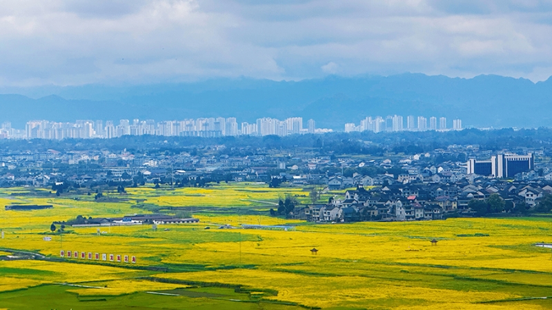 新华网看重庆｜秀山：高标准农田绘就乡村振兴新画卷