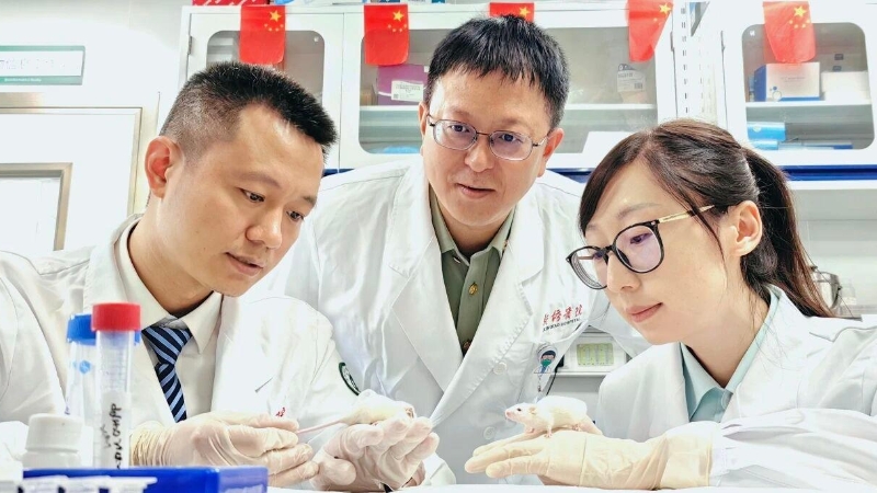 为造血干细胞移植患者守住光明 新桥医院青年团队获全国大奖