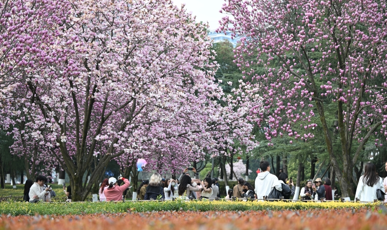 文学｜三月（诗词曲一组）