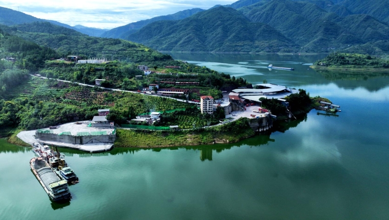 重庆云阳水口镇：党建引领“先锋助企”   智治赋能“强基兴业”