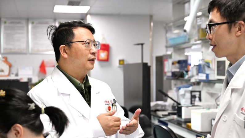 大脑里竟藏着中风修复“快递员”！新桥医院杨清武教授团队发现卒中后远程修复新机制