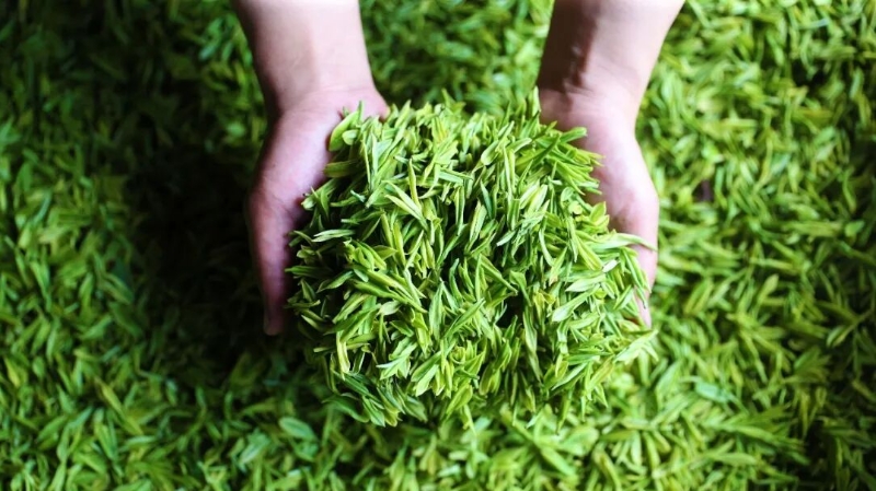 品一口重庆的春天