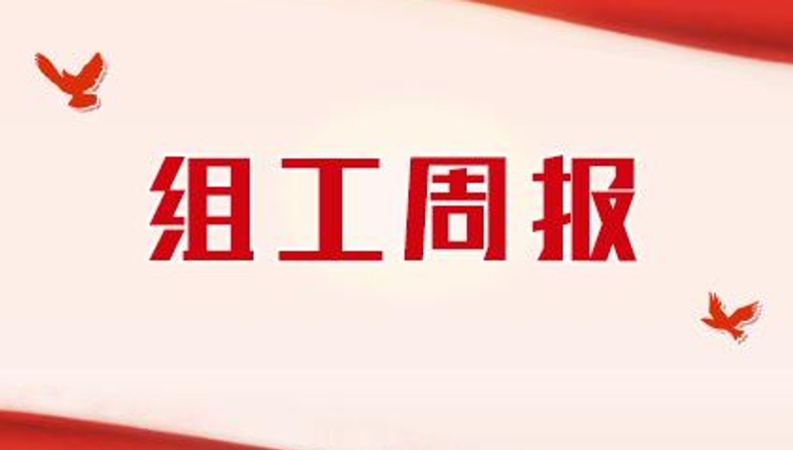 重庆组织工作一周简报（3.23-3.29）