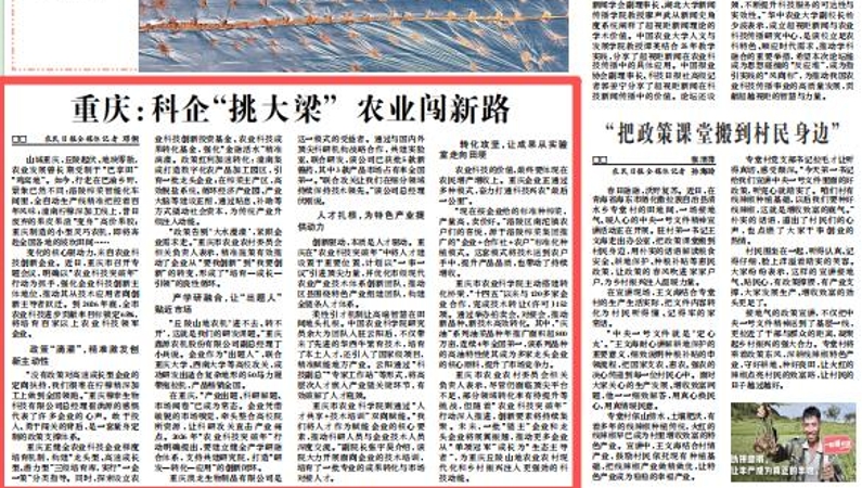 农民日报看重庆｜科企“挑大梁” 农业闯新路
