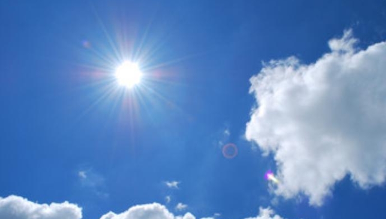 向铁生专栏｜向阳而生