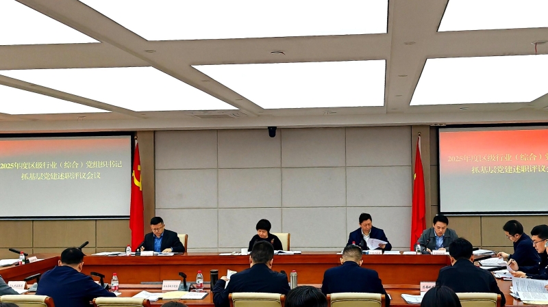 重庆巴南：2025年度区级行业（综合）党组织书记抓基层党建述职评议会召开