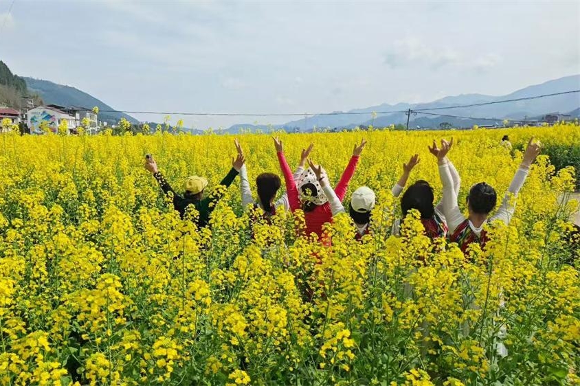 全域四季游 “花”开开州