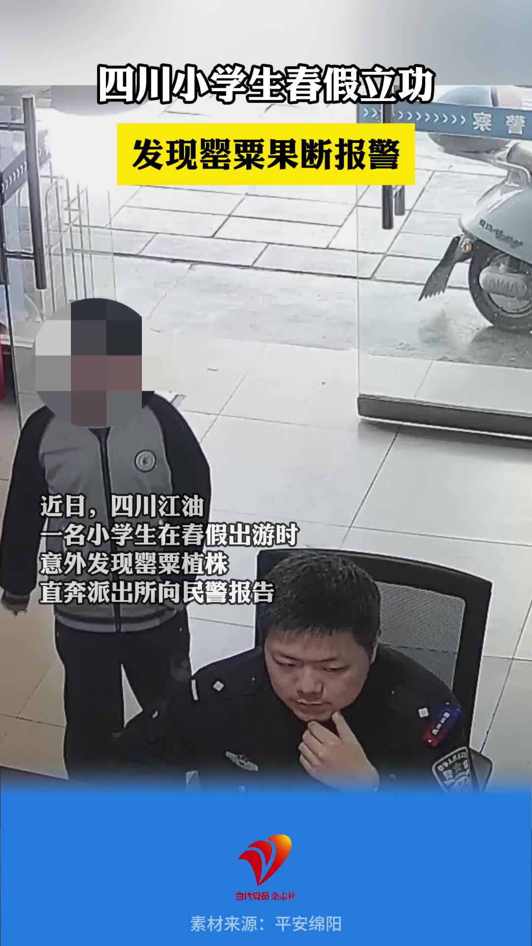 春假出游顺便帮警察叔叔铲除罂粟，给这名“小孩哥”点个赞！