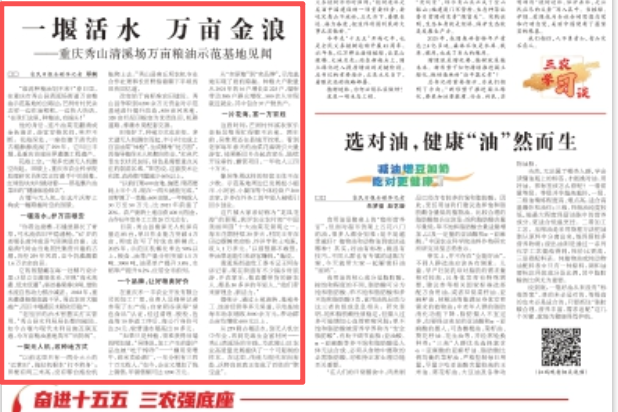 农民日报看重庆｜秀山：一堰活水 万亩金浪