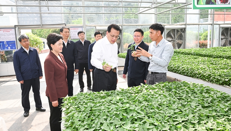 袁家军：发挥优势 改革创新 扎实推动山区库区强县富民现代化