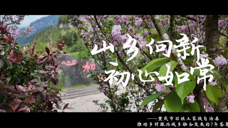 微视频｜重庆石柱：山川向新 初心如常