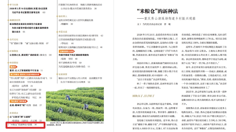 “米粮仓”的新种法