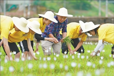 人民日报看重庆｜这个校园，“禾下乘凉梦”一直在生长