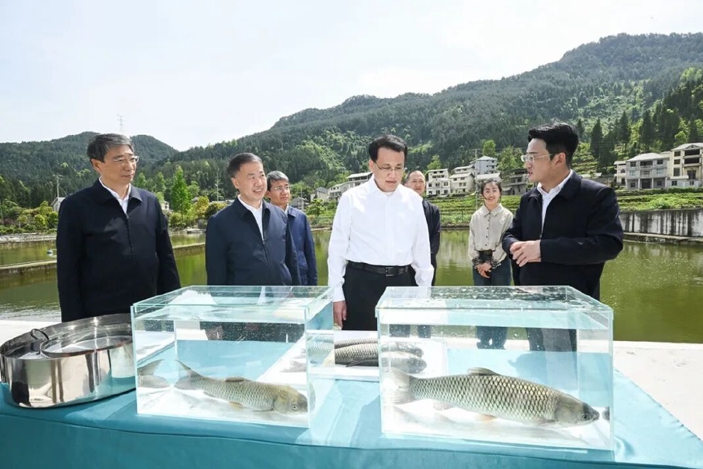 重庆市委书记最近为何密集调研这件事？