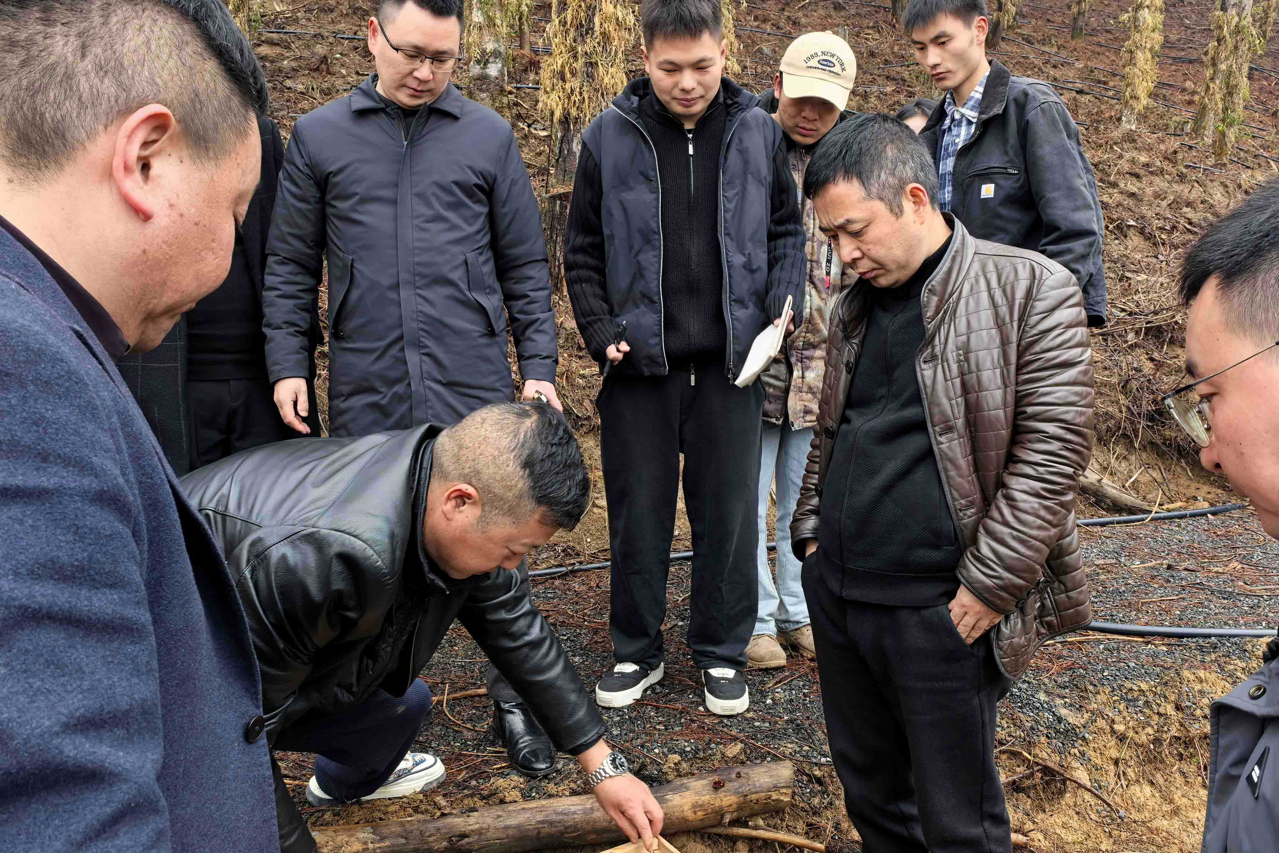 重庆城口巴山镇人大：实地走访企业基地 建言献策助力乡村振兴