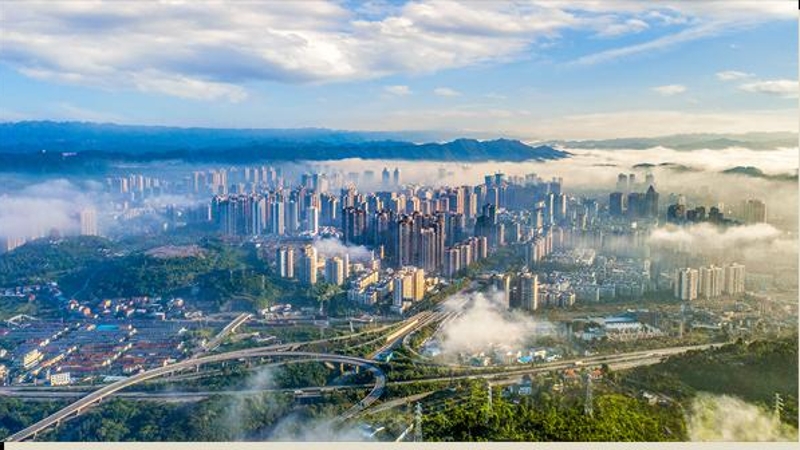 中共重庆市南川区委常委、组织部部长冯雪勇：健全以实干实绩选人用人机制 全面激发干部队伍干事创业活力