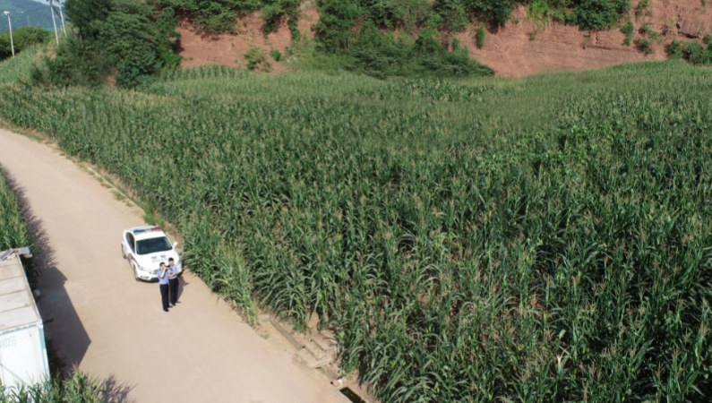 春江何曾负·重庆长江生态回馈启示录⑳｜检察专门化：长江上游生态司法保护的范式突破